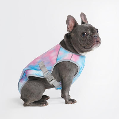 ChillTech™ Dog Cooling Vest