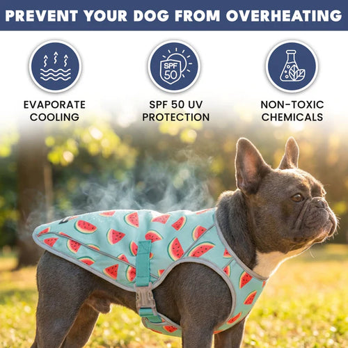 ChillTech™ Dog Cooling Vest