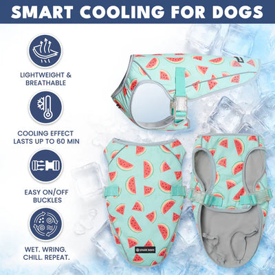 ChillTech™ Dog Cooling Vest
